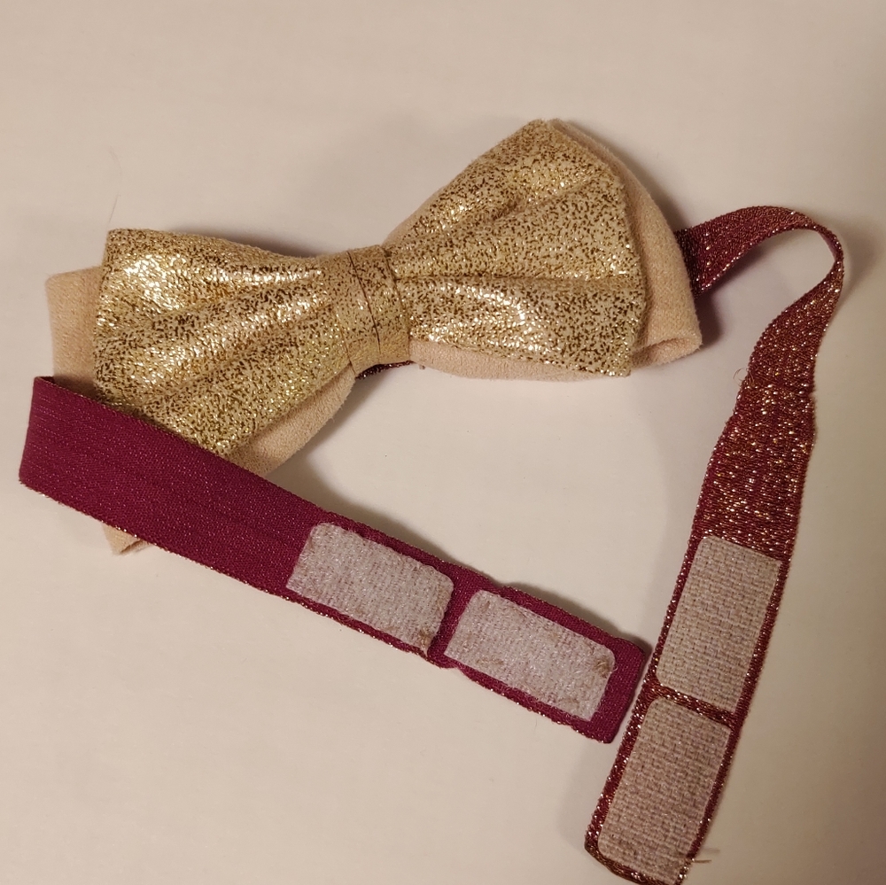 Pet man boy bowtie bow tie